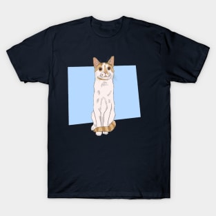 cat yelow T-Shirt